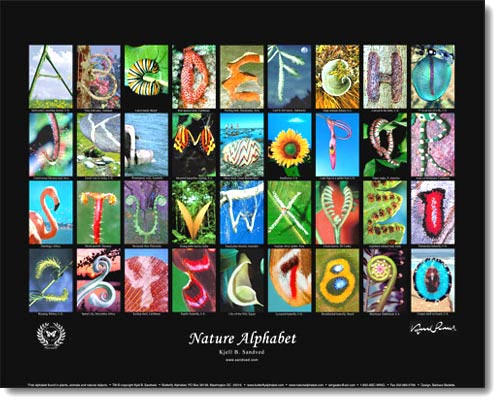Alphabet Nature