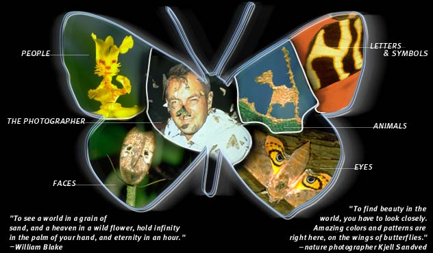 People - Faces - Animals - Letters & Words - Numbers